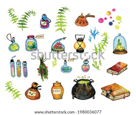 set of watercolor elements - cauldron, magic books, potion bottles, test tubes, lantern, sack, herbs, amanita and mandrake, fern leaves on a white background.