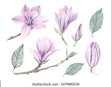 百合花の鉛筆画 のイラスト素材 Shutterstock