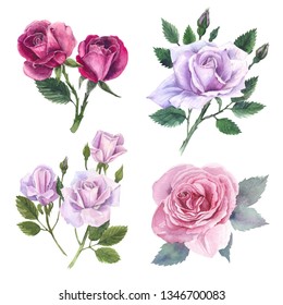 Watercolor Set Different Roses Illustration Stock Illustration 460646983