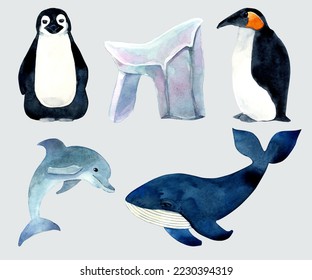 Set and watercolor elements  Whales  penguins  dolphinы    icebergs 