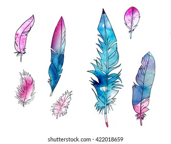 Blue Bird Feathers On White Background Stock Illustration Shutterstock