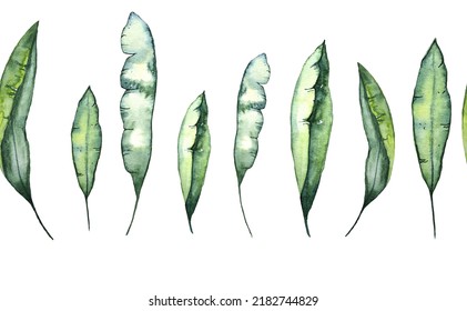 Set Of Watercolor Floral Illustrations - Collection Of Green Leaves, Branches,young Leaves For Wedding Stationery, Greetings, Wallpaper, Fashion, Background.