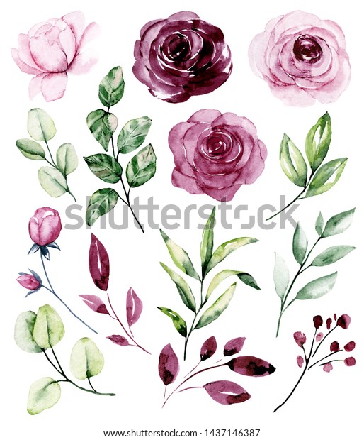 水彩の花の絵 花柄のビンテージイラスト バラと葉 ポスター グリーティングカード 誕生日 結婚式のデザインの飾り 白い背景に のイラスト素材
