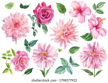 Set Watercolor Flowers Leaves Pink Dahlia Stock Illustration 1798377922 