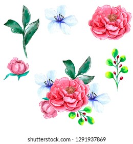 Set Watercolor Flowers Painted By Hands Stock Illustration 1291937869 ...