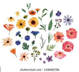 Set Of Watercolor Flowers, Wild Flowers, Hand Drawn
