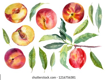 19,006 Peach sketch Images, Stock Photos & Vectors | Shutterstock