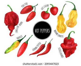 Set of watercolor hot peppers (tabasco, carolina reaper, madame jeanet, hot cherry pepper, cayenne pepper, scotch bonnet pepper, piri piri). Isolated on white background