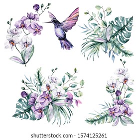 Download Hummingbirds Watercolor High Res Stock Images Shutterstock