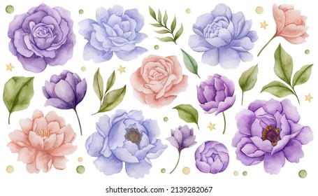 Set of watercolor illustrations of flowers of roses, peonies on an isolated white background. - Powered by Shutterstock