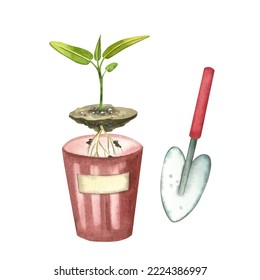 A Set Of Watercolor Illustrations. Gardening. A Pot With A Sprout, Soil, A Shovel For The Ground. All Elements Are Hand-painted In Watercolor On A White Background. For Printing, Packaging, Designers.