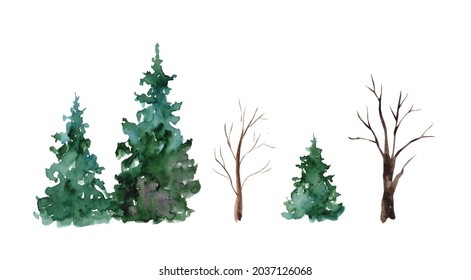 474 Watercolor Tree Without Leaves Images, Stock Photos & Vectors 