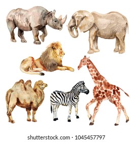 Set of watercolor images of african animals. Rhino, lion, elephant, camel, zebra, giraffe.
