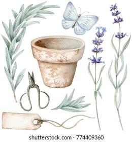 Set Of Watercolor  Lavender Flowers And Ceramic Pot