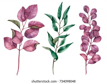 Set of watercolor leaves, hand painted illustration of floral elements isolated on a white background, can be used for greeting cards and invitations.