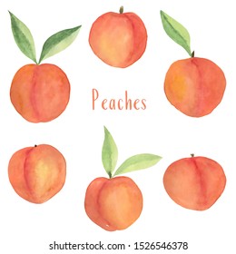 Set With Watercolor Peaches. Colorful Hand Drawn Illustration.