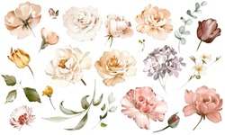 Set Watercolor Pink  Flowers, Garden Roses, Peonies. Collection Leaves, Branches. Botanic Illustration Isolated On White Background.  