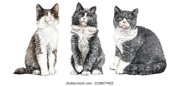 Set of watercolor portraits of 3 cat breeds. Cat watercolor. Watercolour painting cat clipping path isolated on white background. Graphic for fabric, T-shirt, greeting card, sticker.