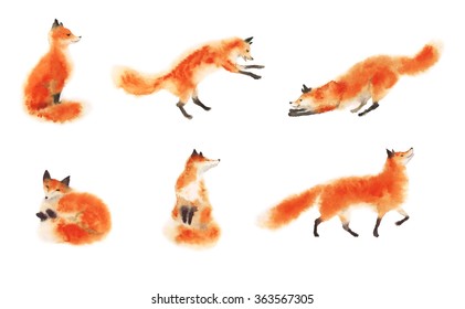 Set of watercolor red fluffy foxes in motion on white. Sitting fox, sleeping fox, playing fox, jumping fox, going foxy. Hand drawn illustration.