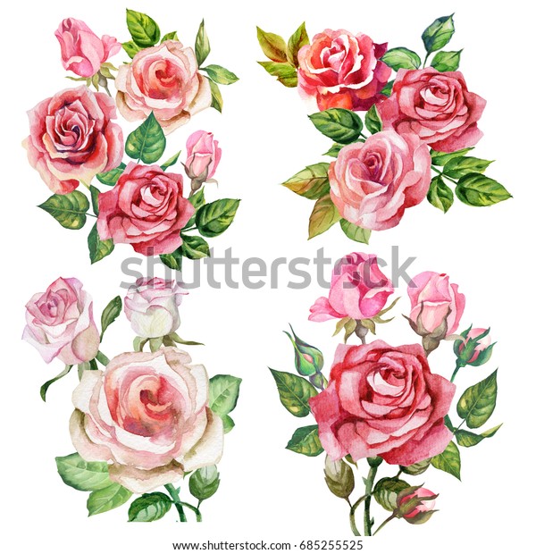 Set Watercolor Roses Bouquets Stock Illustration 685255525 | Shutterstock