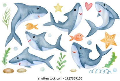 Set of watercolor sharks isolated on white background. - Powered by Shutterstock