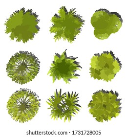 Set Watercolor Tree Top View Landscape Stock Illustration 1731728005 ...