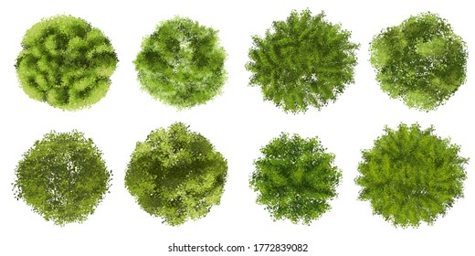 4,895 Watercolor tree top view Images, Stock Photos & Vectors ...