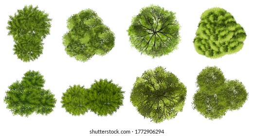 Trees Top View Different Plants Trees Stock Vector (Royalty Free ...