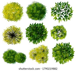 Trees Bush Item Top View Landscape Stock Vector (Royalty Free) 315429179