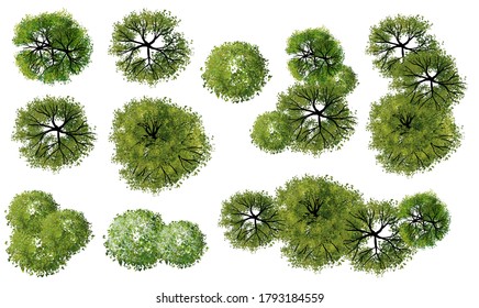 Set Of Watercolor Tree Top View For Landscape Plan And Architecture Layout