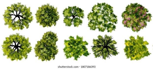 Set Of Watercolor Tree Top View For Landscape Plan And Architecture Layout