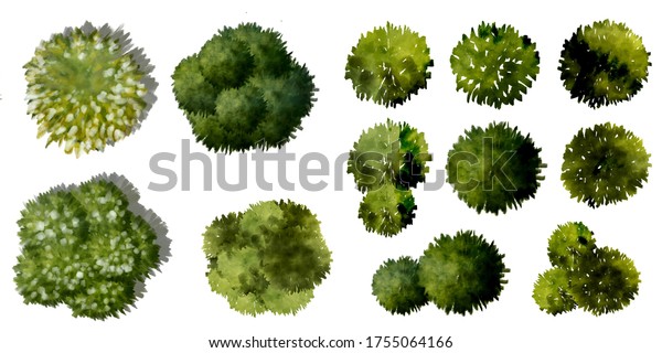 Set Watercolor Tree Top View Landscape Stock Illustration 1755064166 ...