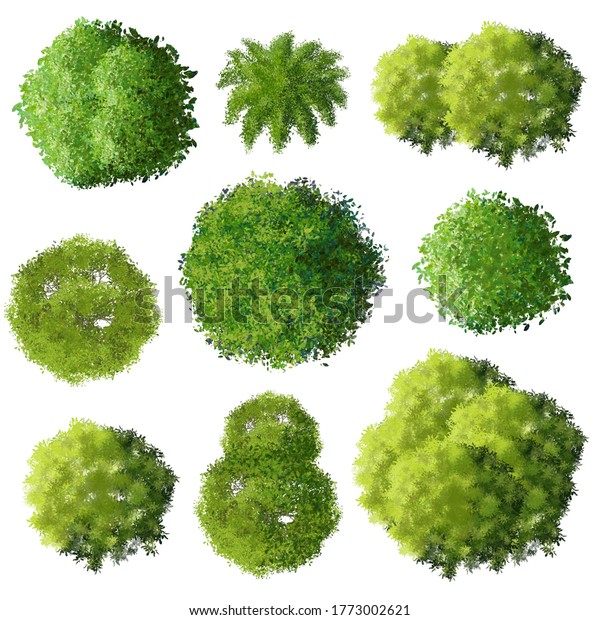 878 Shrubs Plan View Images, Stock Photos & Vectors 