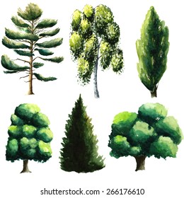 Set Of Watercolor Trees: Pine, Chestnut, Oak, Fir Tree, Beech, Poplar.