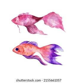 Set of watercolor tropical fish.Underwater world of the sea or ocean.
