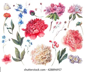 Set of watercolor white, pink, red peonies garden flowers separate flower, leaf sprigs, isolated watercolor illustration on white Natural watercolor summer design floral elements, botanical collection - Powered by Shutterstock