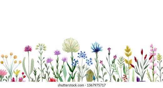 Watercolor Hand Drawn Field Wildflowers Designer Floral Wallpaper Home ...