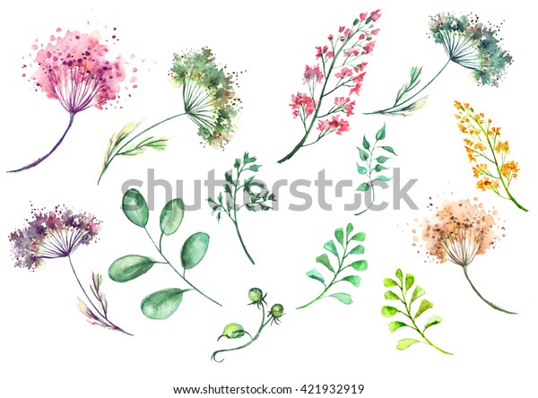 水彩画 花 小枝 草 葉 乾燥した花のセット 分離型白い背景にビンテージスタイル のイラスト素材