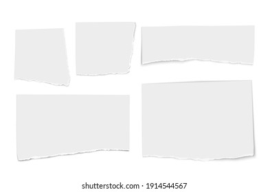 Set of white paper tears isolated on white