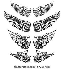 Wings Collection Set Stock Vector (Royalty Free) 1031017480