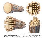 Set of wooden log cut on a lumber. 3d illustration