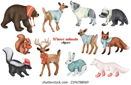 Set Of Woodland Animals In Winter Clothes, Christmas Cute Characters Clipart, Isolated Illustration On White Background