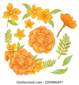 Set Of Yellow Orange Rose Blossom White Isolated Background