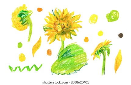 Set of yellow sunflowers in wax crayons on white isolated background.Autumn botanical baby flowers in doodle style hand drawn pastel pencils.Designs for cards social media,posters,prints,invitations.