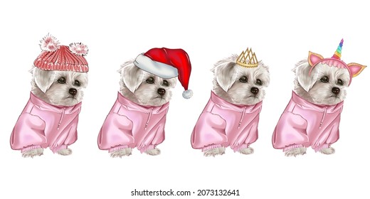 Seth White Dog in New Year's outfits. Christmas pet. White lapdog. Bichon Frize. Maltese. Santa claus, princess, unicorn, in a pink hoodie. The lapdog smiles. Nice dog. Illustration of a funny dog.