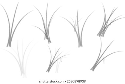 several blades grass different