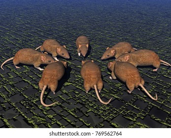 Sewer rat 3D rendering