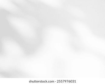 Shadow light summer background sunight overlay nature on room cement wall floor abstract blur muckup effect grey minimal platform for presentation product backdrop, wallpaper template display.