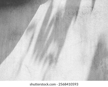 Shadow light summer background sunight overlay nature on room cement wall floor abstract blur muckup effect grey minimal platform for presentation product backdrop, wallpaper template display.