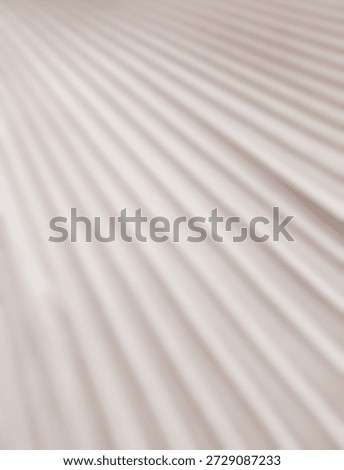 Shadow palm leaf summer background overlay beige color template mockup pastel minimal for presentation product cosmetic aesthetic beauty, poster backdrop artistic marketing, sunshine nature room.